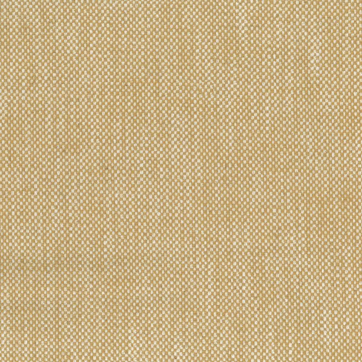 Snicket Yellow — Nina Campbell tyg