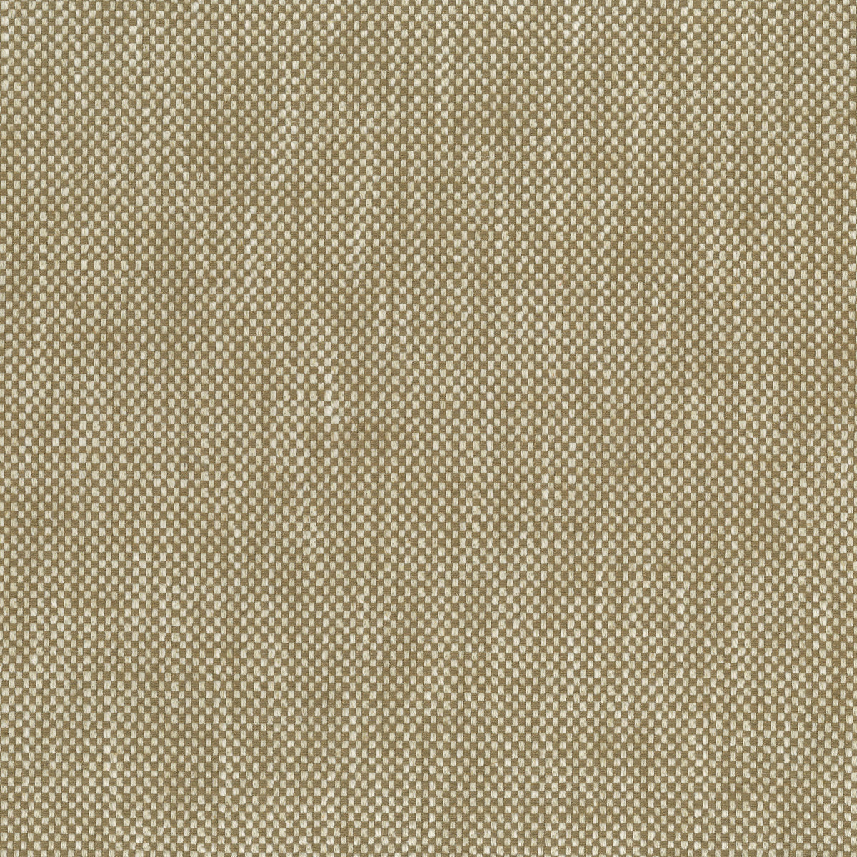 Snicket Beige — Nina Campbell tyg