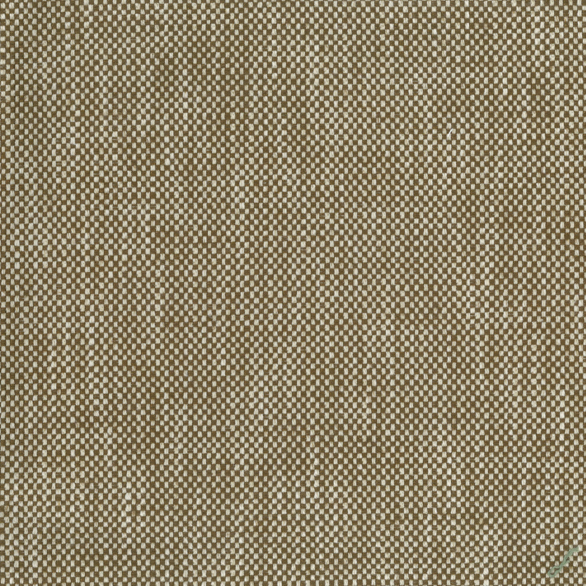 Snicket Chocolate — Nina Campbell tyg