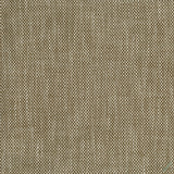 Snicket Chocolate — Nina Campbell tyg