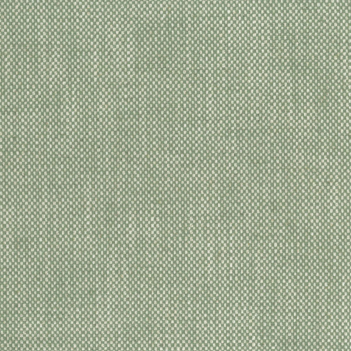 Snicket Eucalyptus — Nina Campbell tyg