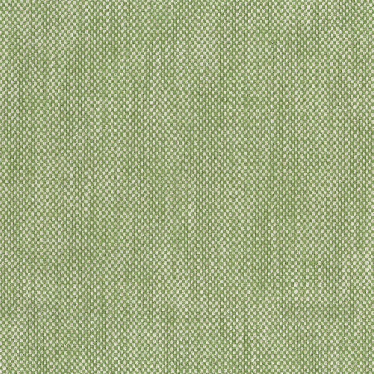 Snicket Green — Nina Campbell tyg