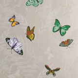Farfalla Ivory/Multi — Nina Campbell tapet