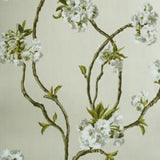 Orchard Blossom Ivory/Sage — Nina Campbell tapet