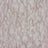 Plaster