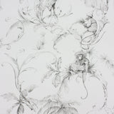 Barbary Toile Tapetprov — Nina Campbell Charcoal