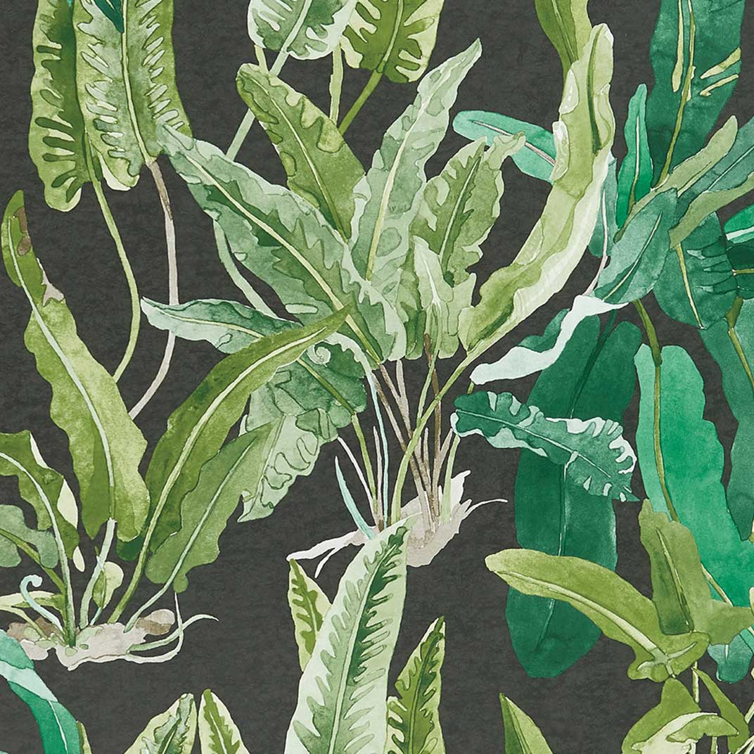 Benmore Emerald/Green/Ebony — Nina Campbell tapet