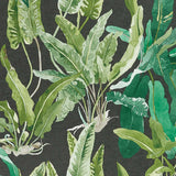 Benmore Emerald/Green/Ebony — Nina Campbell tapet