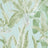 Green/Aqua