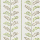 Plumier Green/Chocolate — Nina Campbell tapet