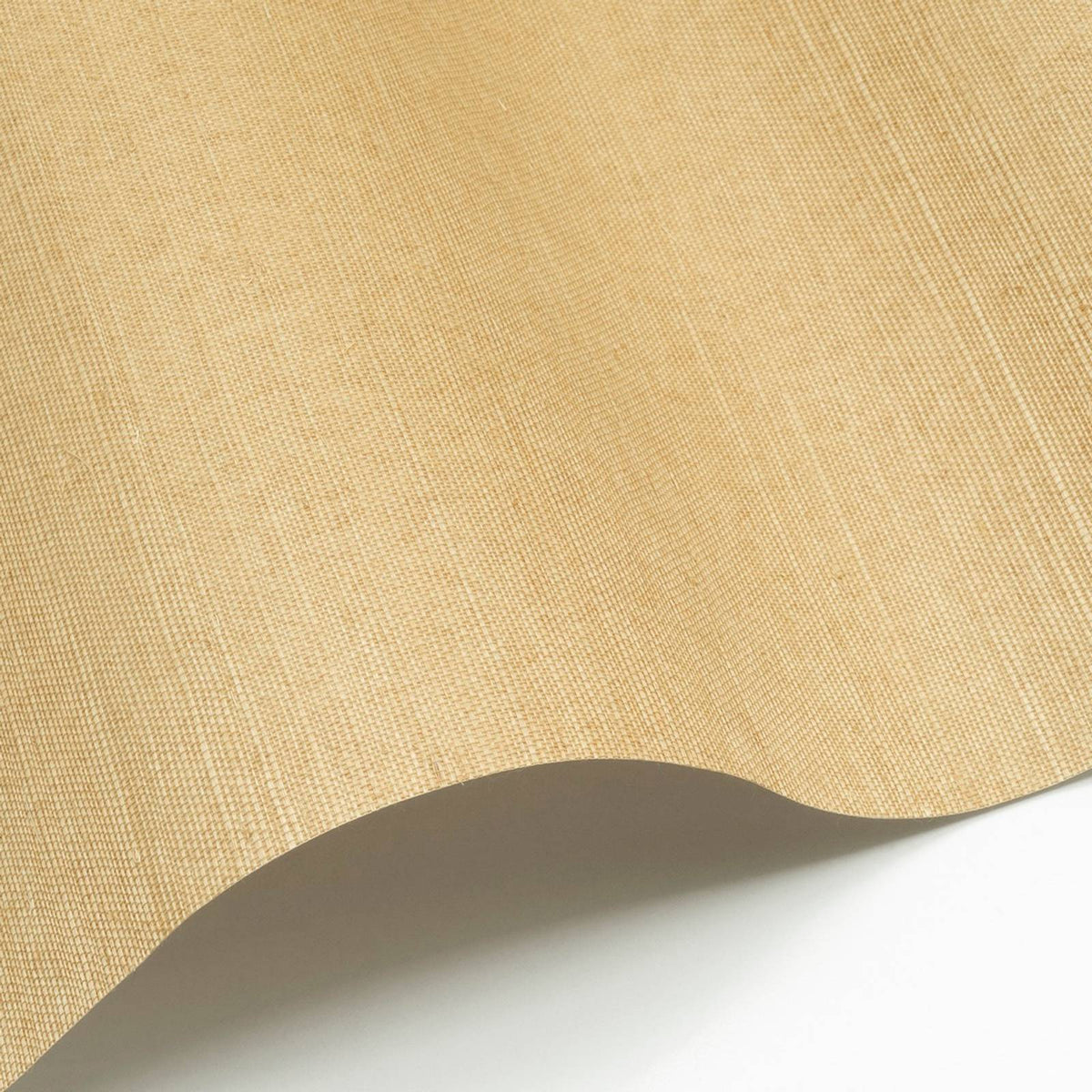 Sisal 137 — Nobilis tapetprov