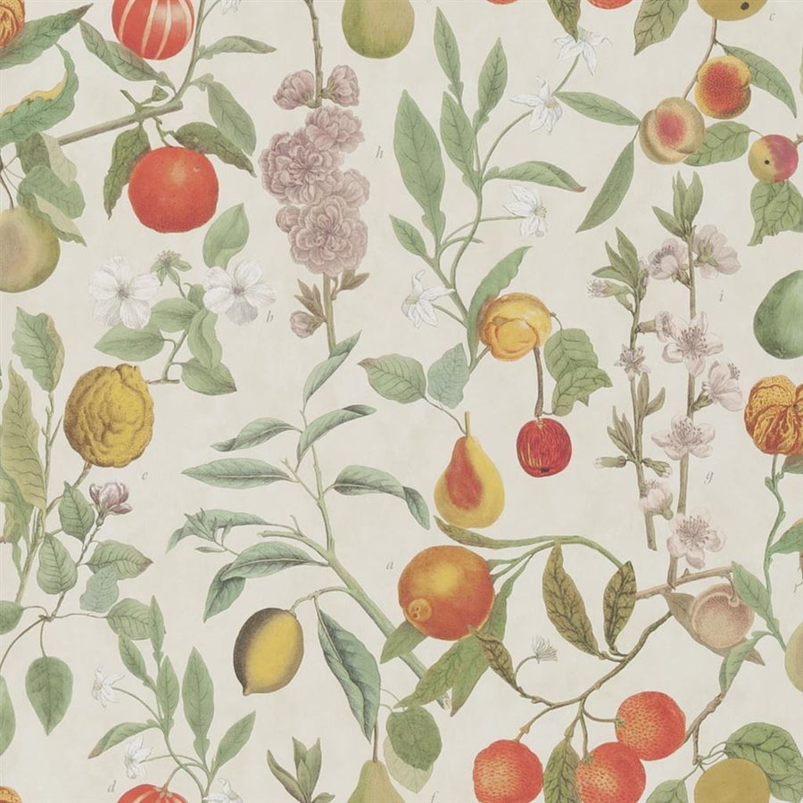 Orchard Fruits Tapet — Designers Guild