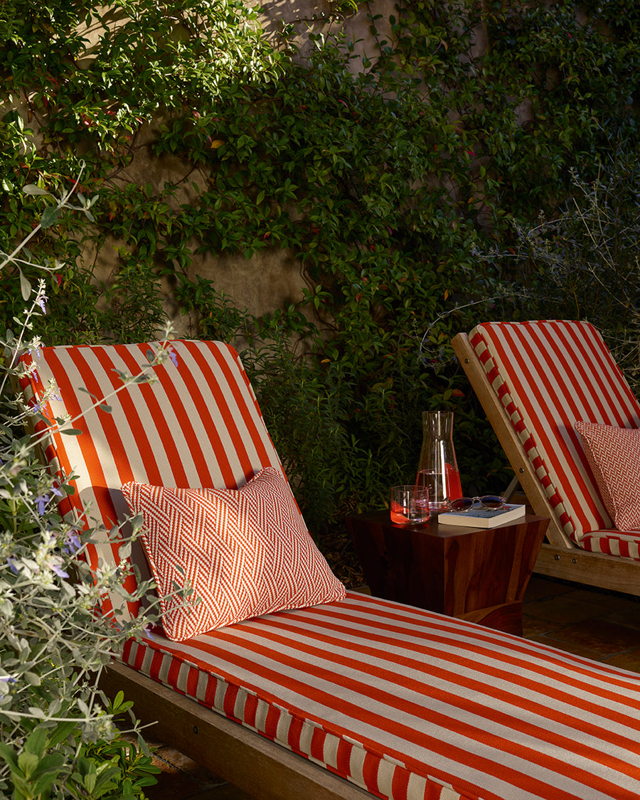 Roya Tyg — Manuel Canovas
