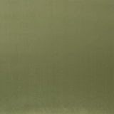 Patia Fern — Designers Guild tyg