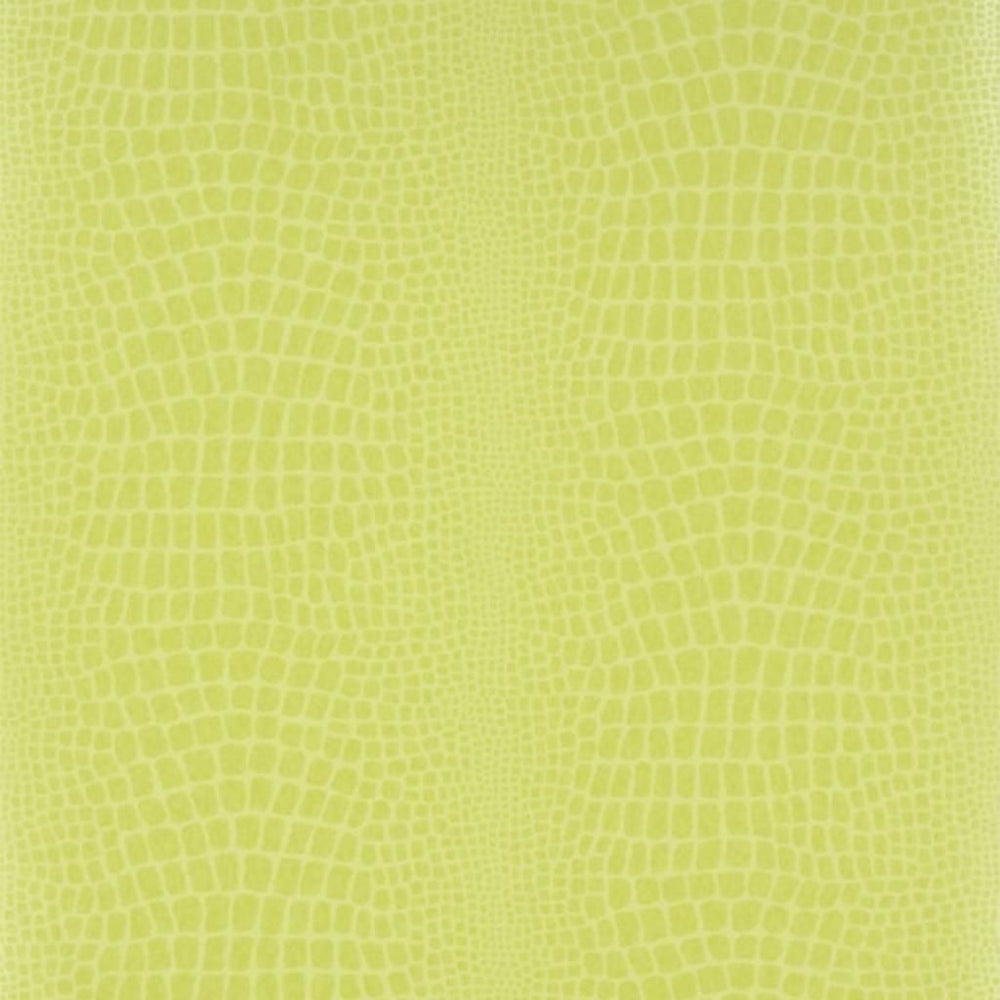 Pietra Grass — Designers Guild tapet