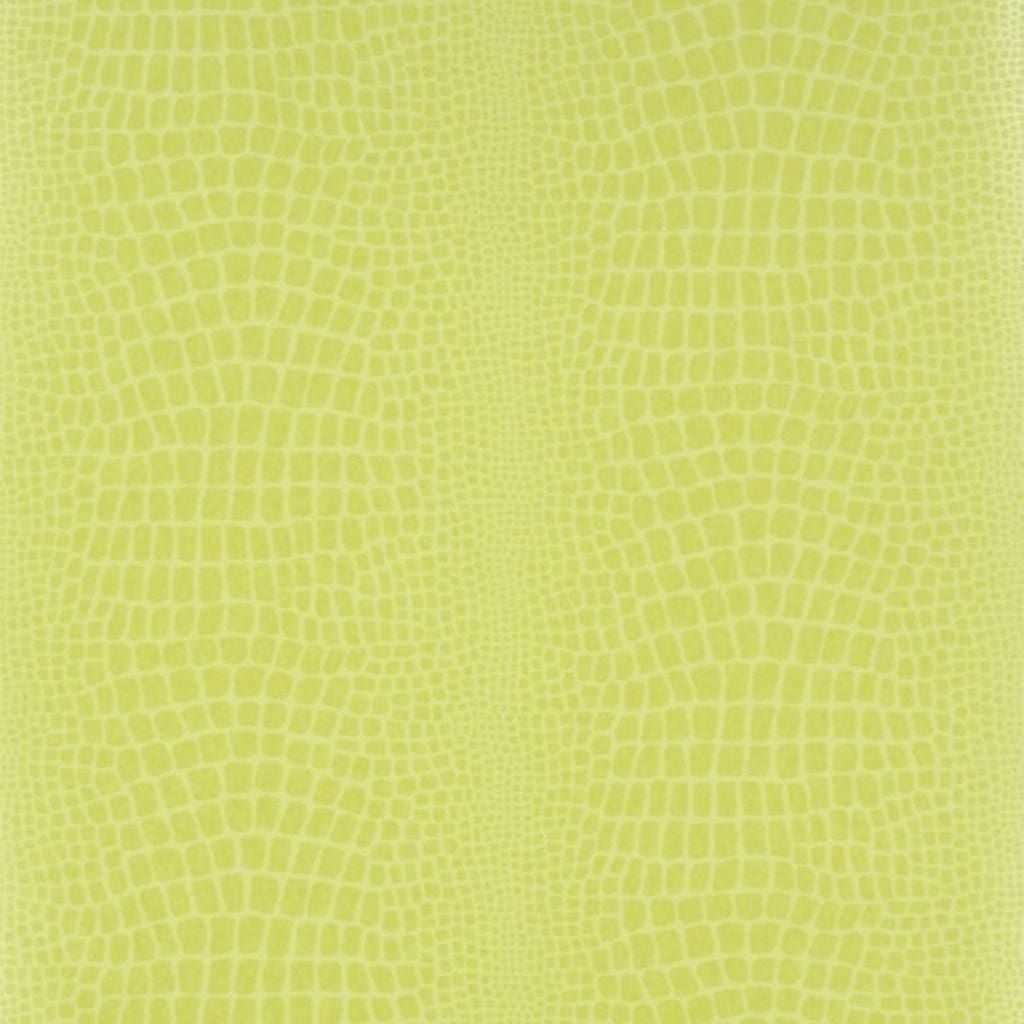 Pietra Grass — Designers Guild tapet