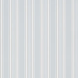 Pinstripe Graphite — Designers Guild