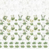 Primevere Sage 01 — Designers Guild tapet