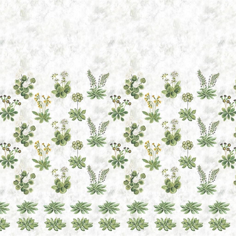 Primevere Sage Tapet — Designers Guild