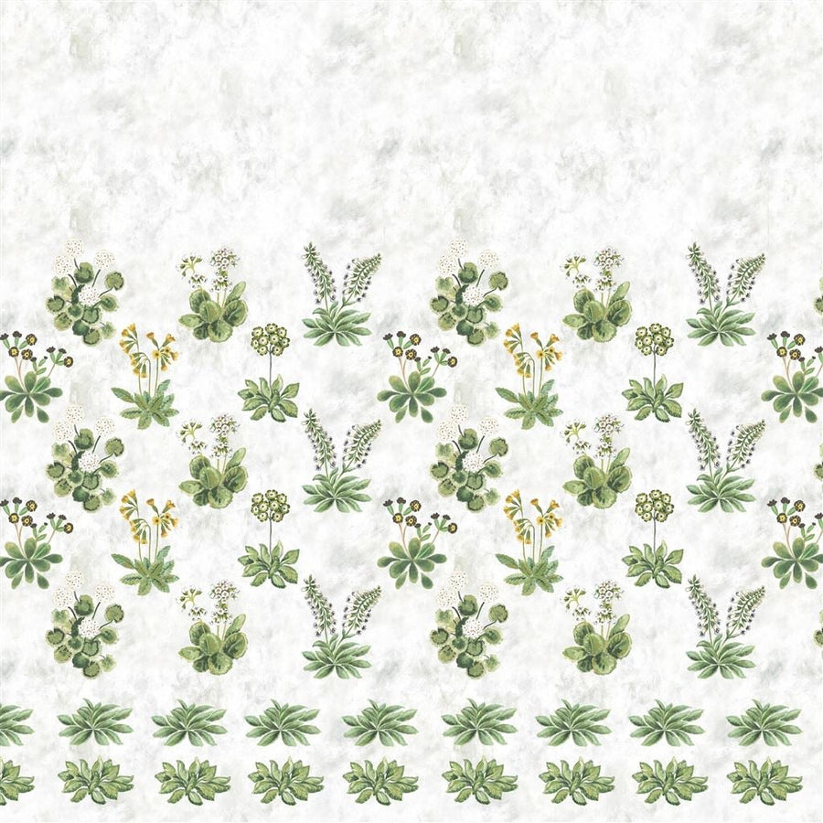 Primevere Sage Tapet — Designers Guild