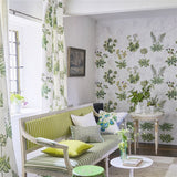 Primevere Sage Tapet — Designers Guild i miljö