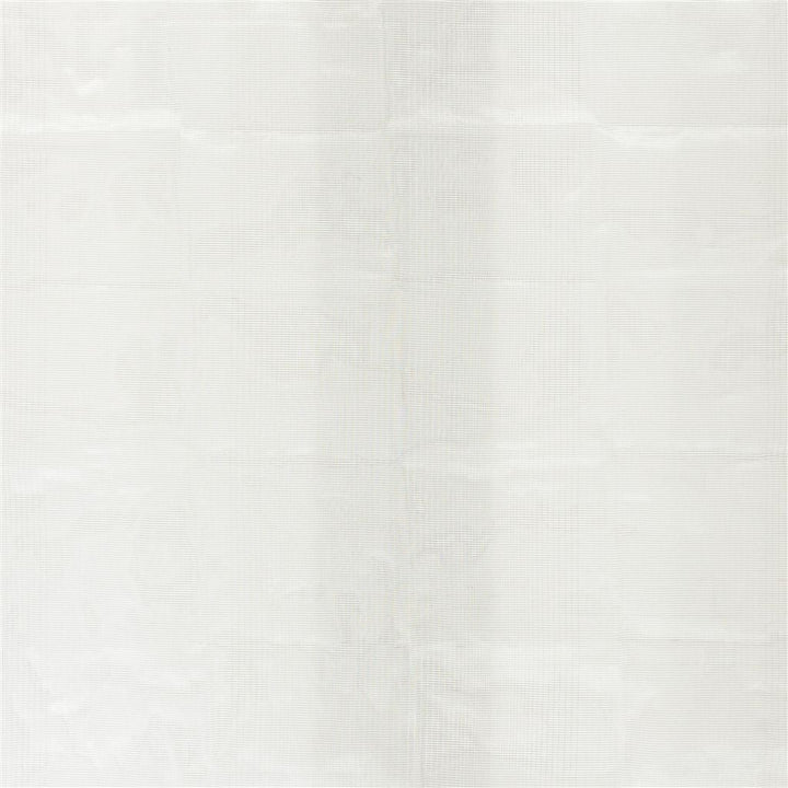 Amaya Tygprov Graphite
