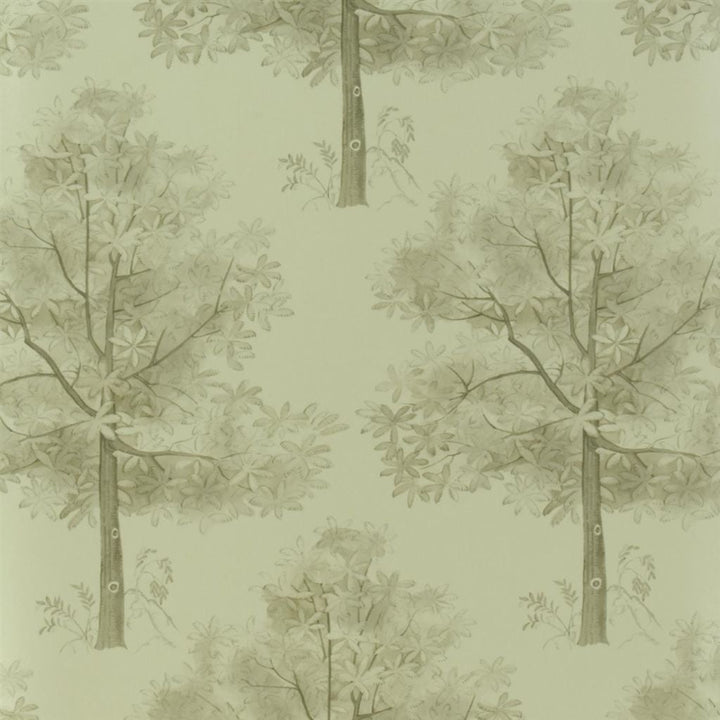 Arboretum Tapetprov Gold