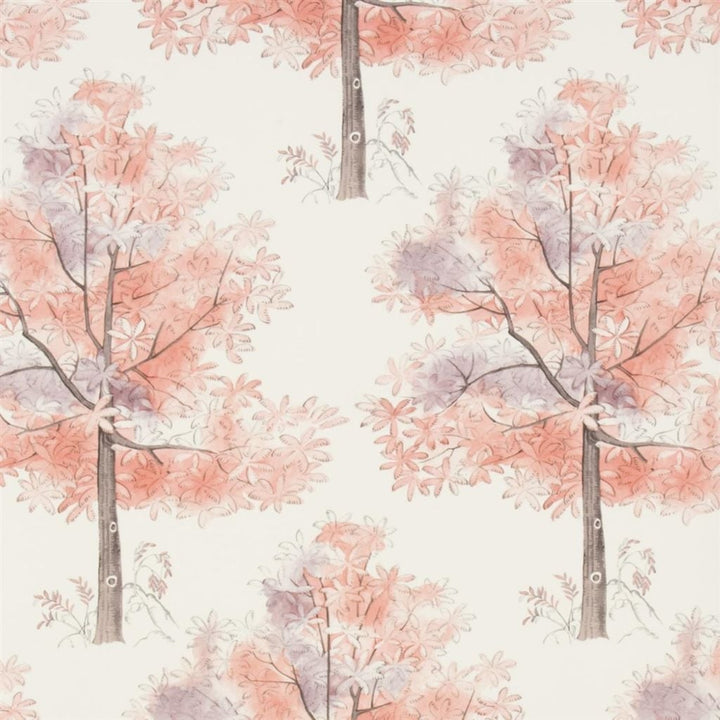 Arboretum Tapetprov Rosewood
