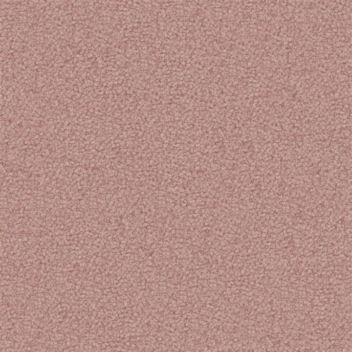 Aria Tygprov Blossom