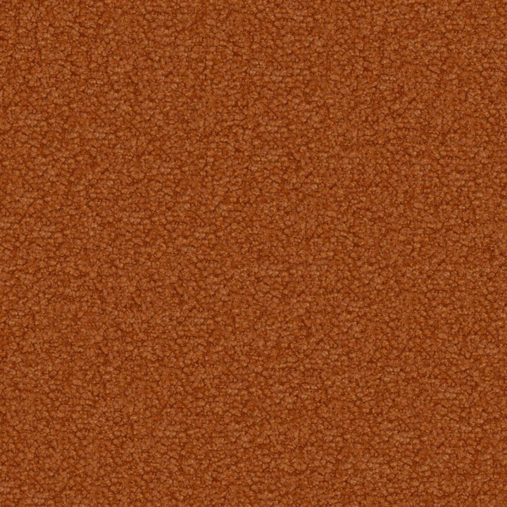 Aria Tygprov Sienna