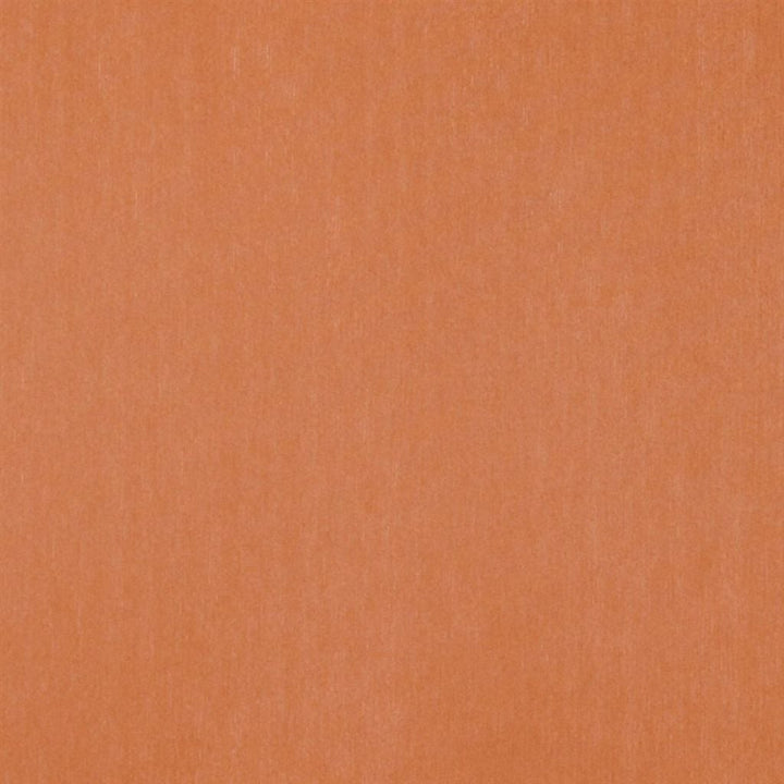 Brenan Tygprov Saffron