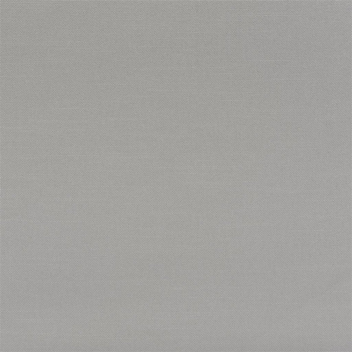 Brenay Tygprov Silver