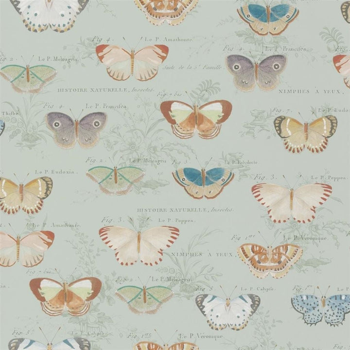 Butterfly Studies Tapetprov Eau de Nil