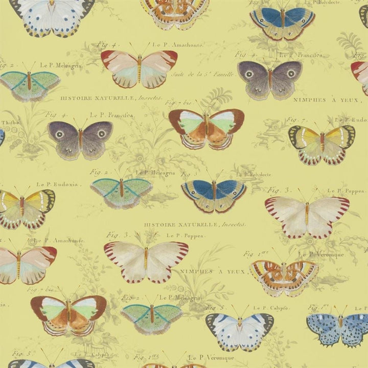 Butterfly Studies Tapetprov Mimosa