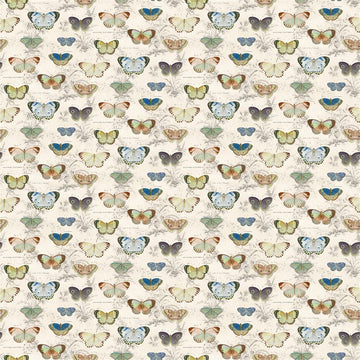 Butterfly Studies Tygprov Parchment
