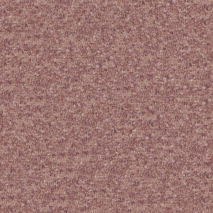 Cadenza Tygprov Blossom