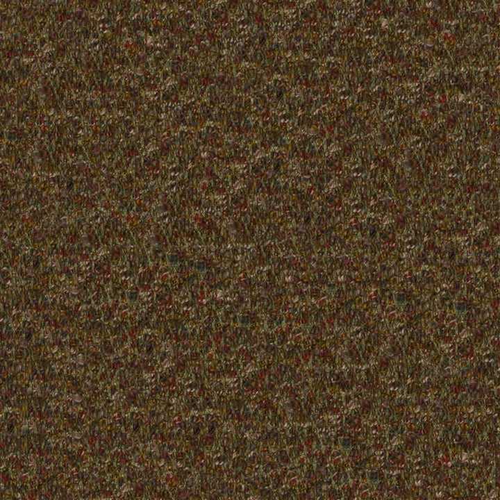Cadenza Tygprov Forest