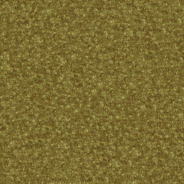 Cadenza Tygprov Leaf