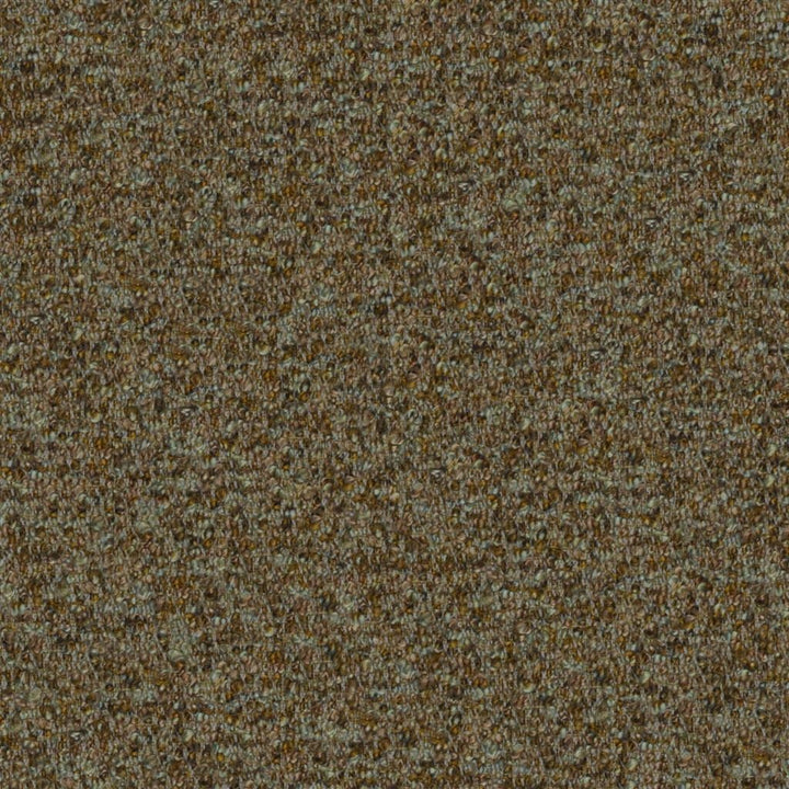 Cadenza Tygprov Lichen