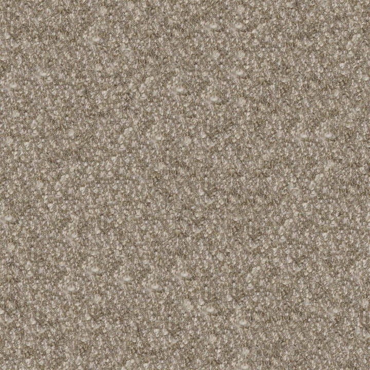 Cadenza Tygprov Mink