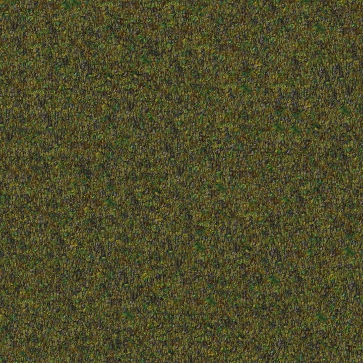 Cadenza Tygprov Moss