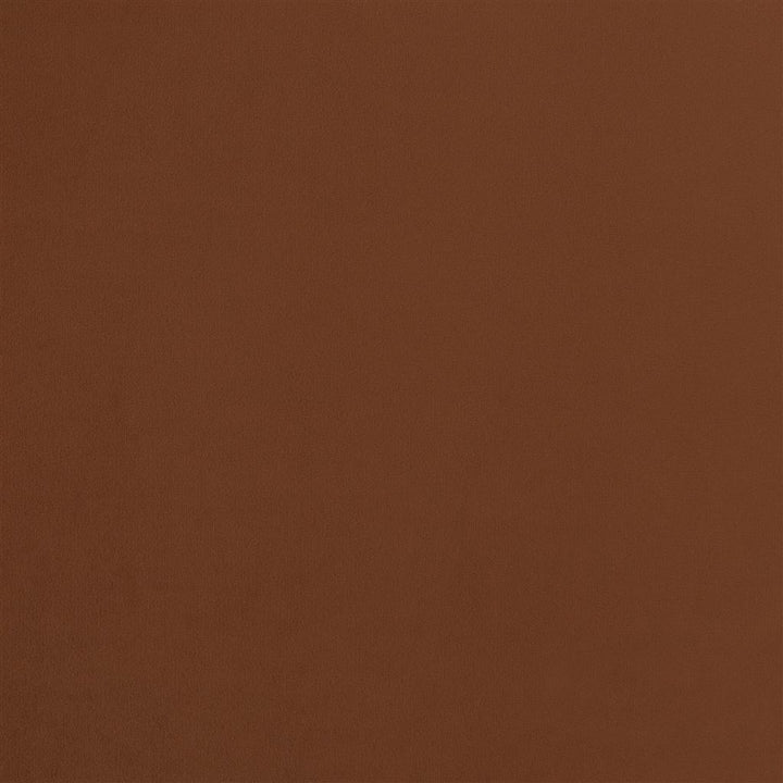 Cameri Tygprov Saffron