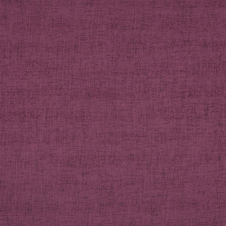 Caplina Tygprov Berry (dg)