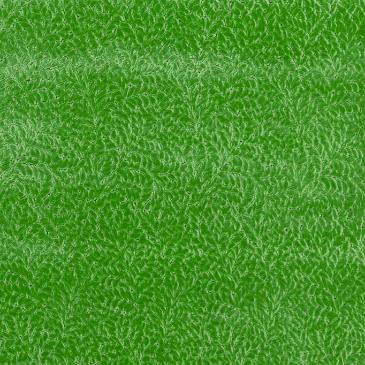 Cartouche Tygprov Malachite