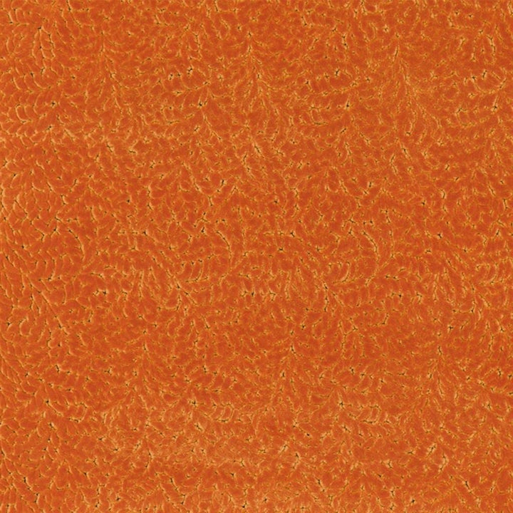 Cartouche Tygprov Saffron