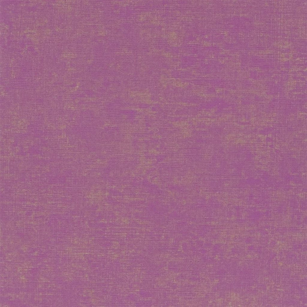 Cerato Tapetprov Fuchsia