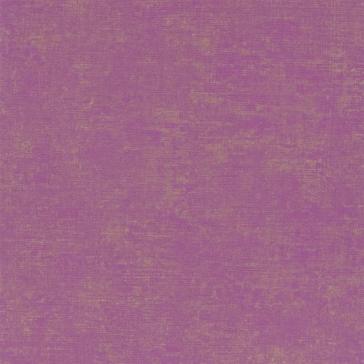 Cerato Tapetprov Fuchsia