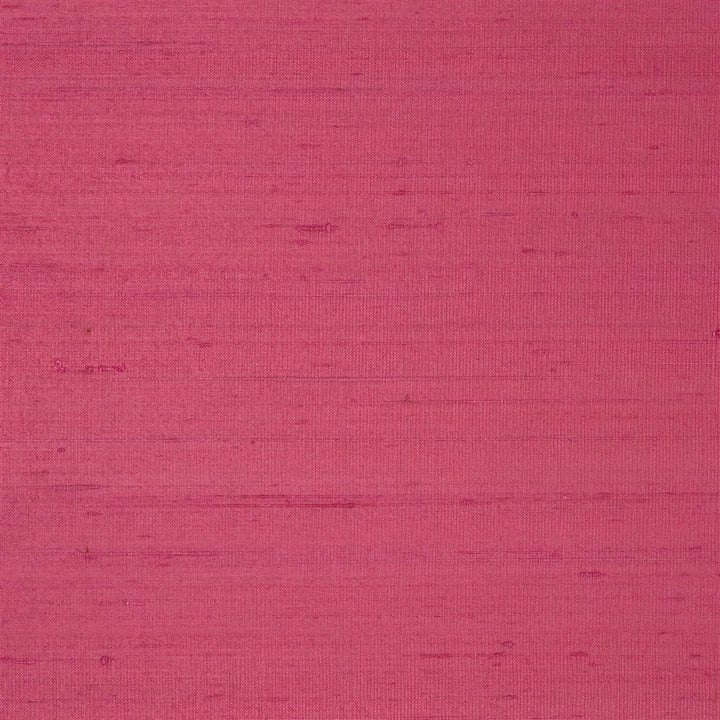 Chinon Tygprov Blush