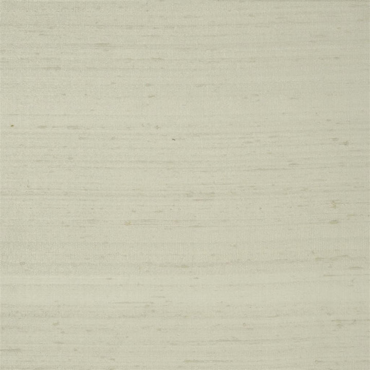 Chinon Tygprov Calico