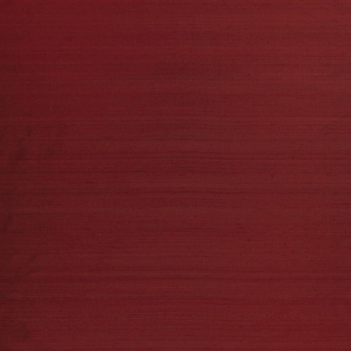 Chinon Tygprov Claret